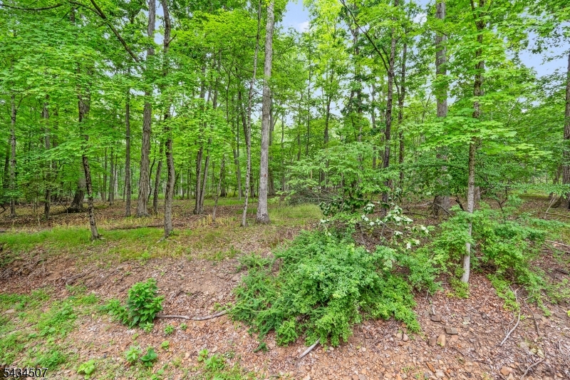 36 King George Road Warren, NJ 07059 - Photo 25 of 25