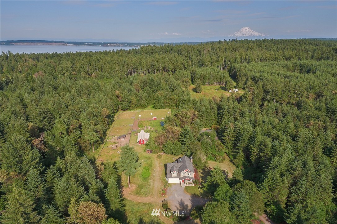 8807 Otso Point Road, Unit AI Anderson Island, WA 98303 - Photo 4 of 25