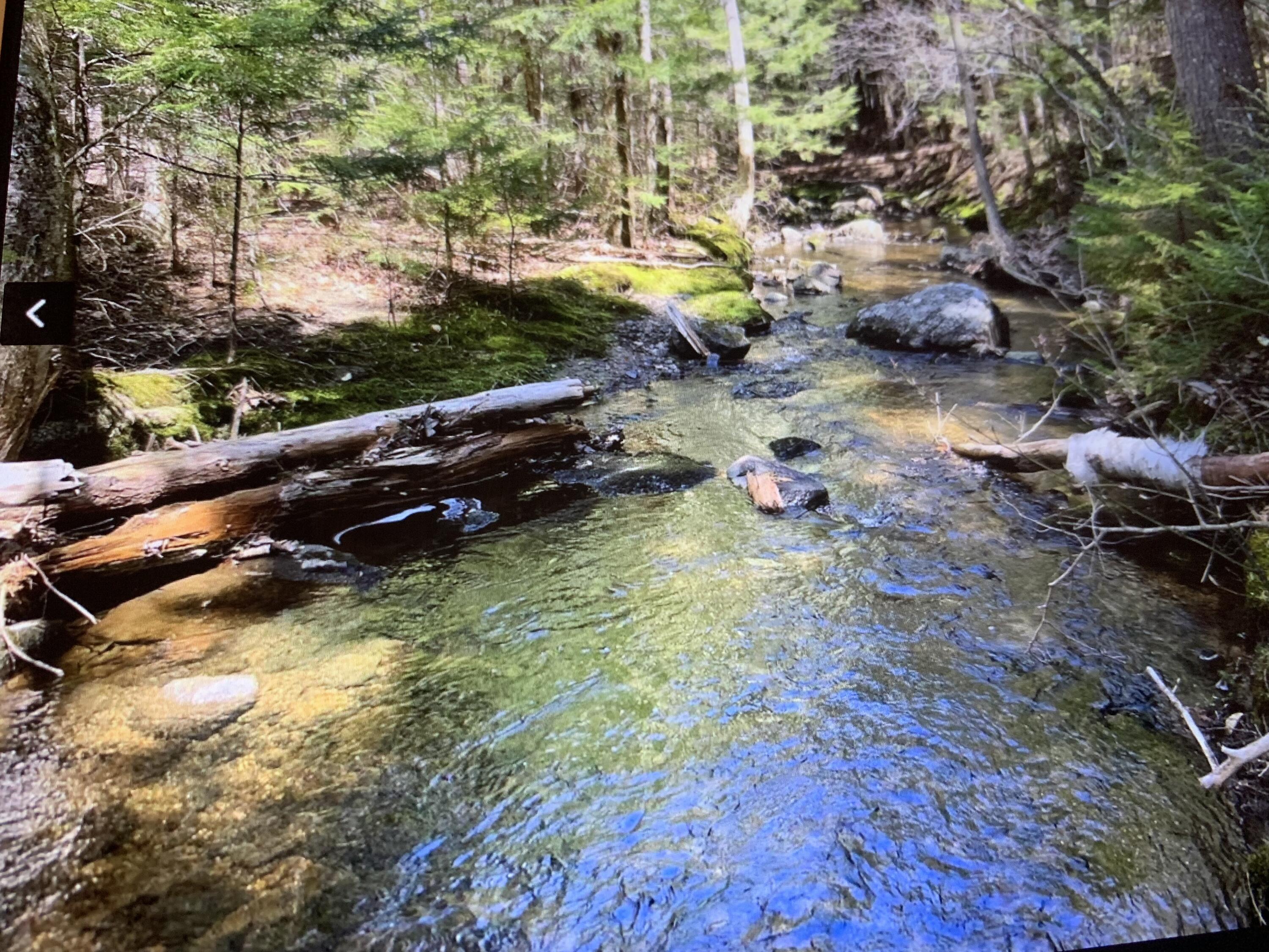 291 Molyneaux Road Camden, ME 04843 - Photo 6 of 90 IMG_1949