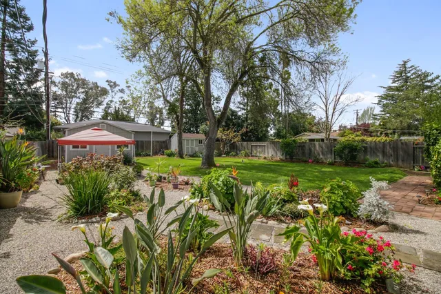a view of a garden with plants