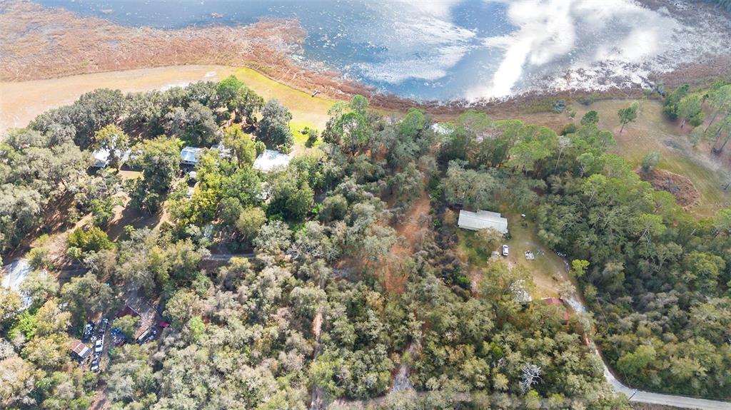 Tbd Southeast 256th Avenue Umatilla, FL 32784 - Photo 12 of 30 a view of a yard