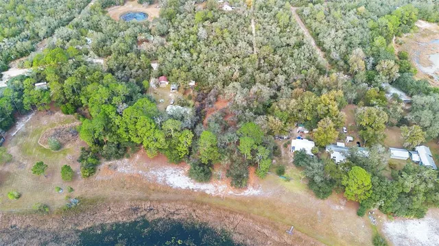 a view of outdoor space with yard and trees