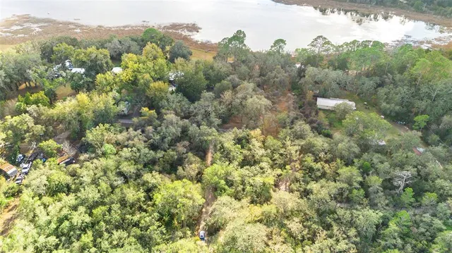 a view of a forest with a forest
