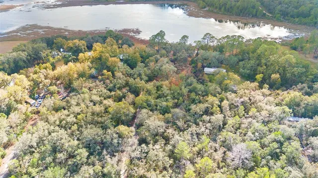 a view of a yard with a tree