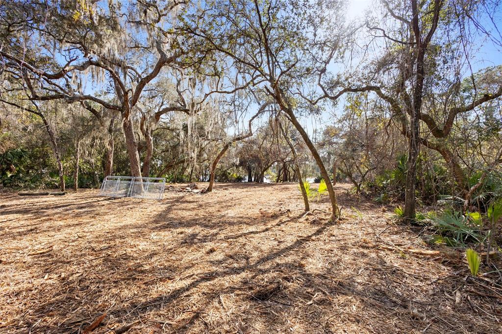 Tbd Southeast 256th Avenue Umatilla, FL 32784 - Photo 21 of 30 a view of outdoor space with trees