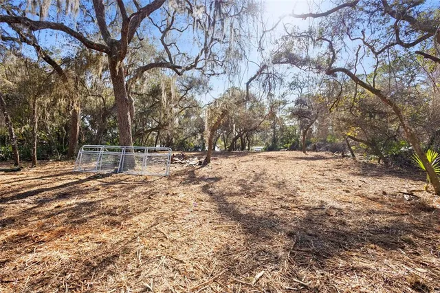 a view of outdoor space with trees