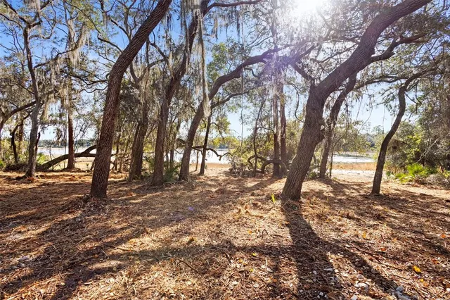 a view of dirt field with trees