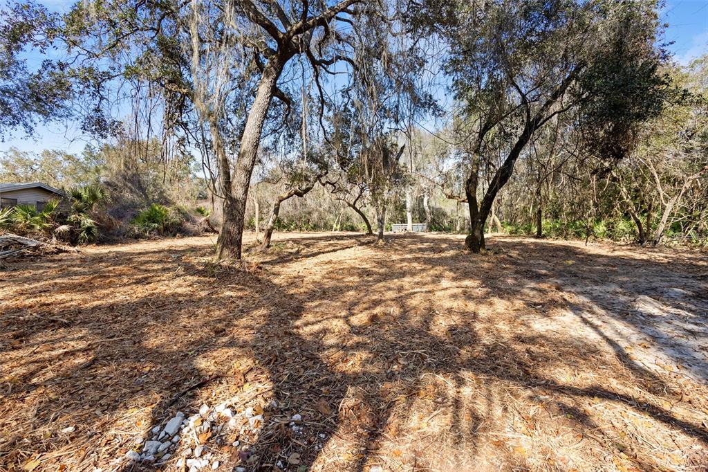 Tbd Southeast 256th Avenue Umatilla, FL 32784 - Photo 26 of 30 a view of dirt field with trees
