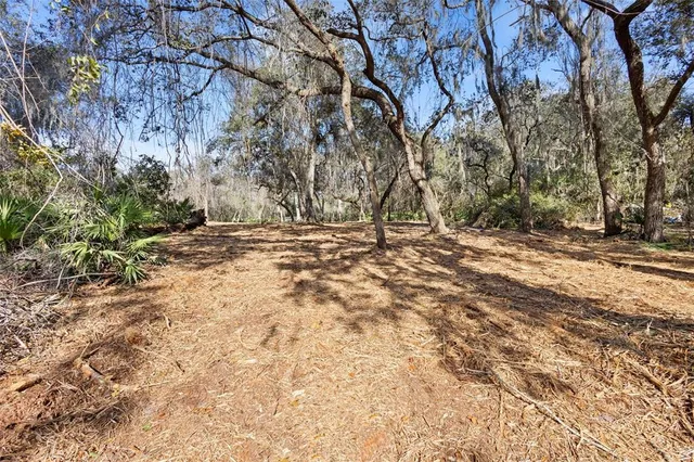 a backyard of a house with large trees