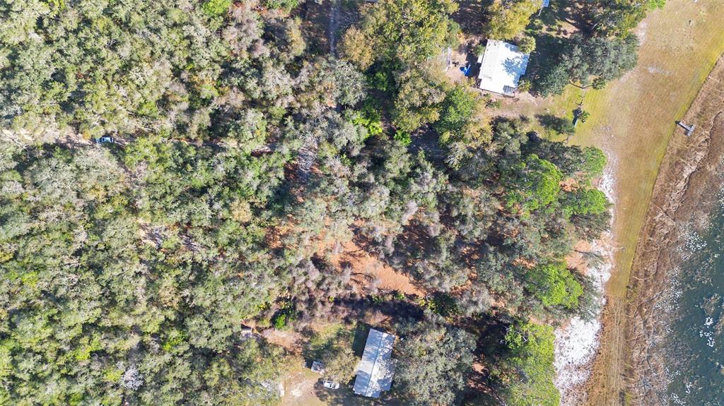 Tbd Southeast 256th Avenue Umatilla, FL 32784 - Photo 10 of 30 a view of a tree