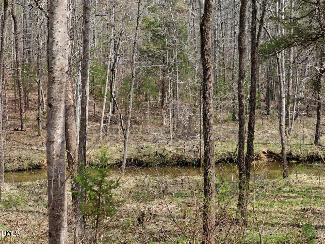 7793 Ridgeville Road Leasburg, NC 27291 - Photo 43 of 91