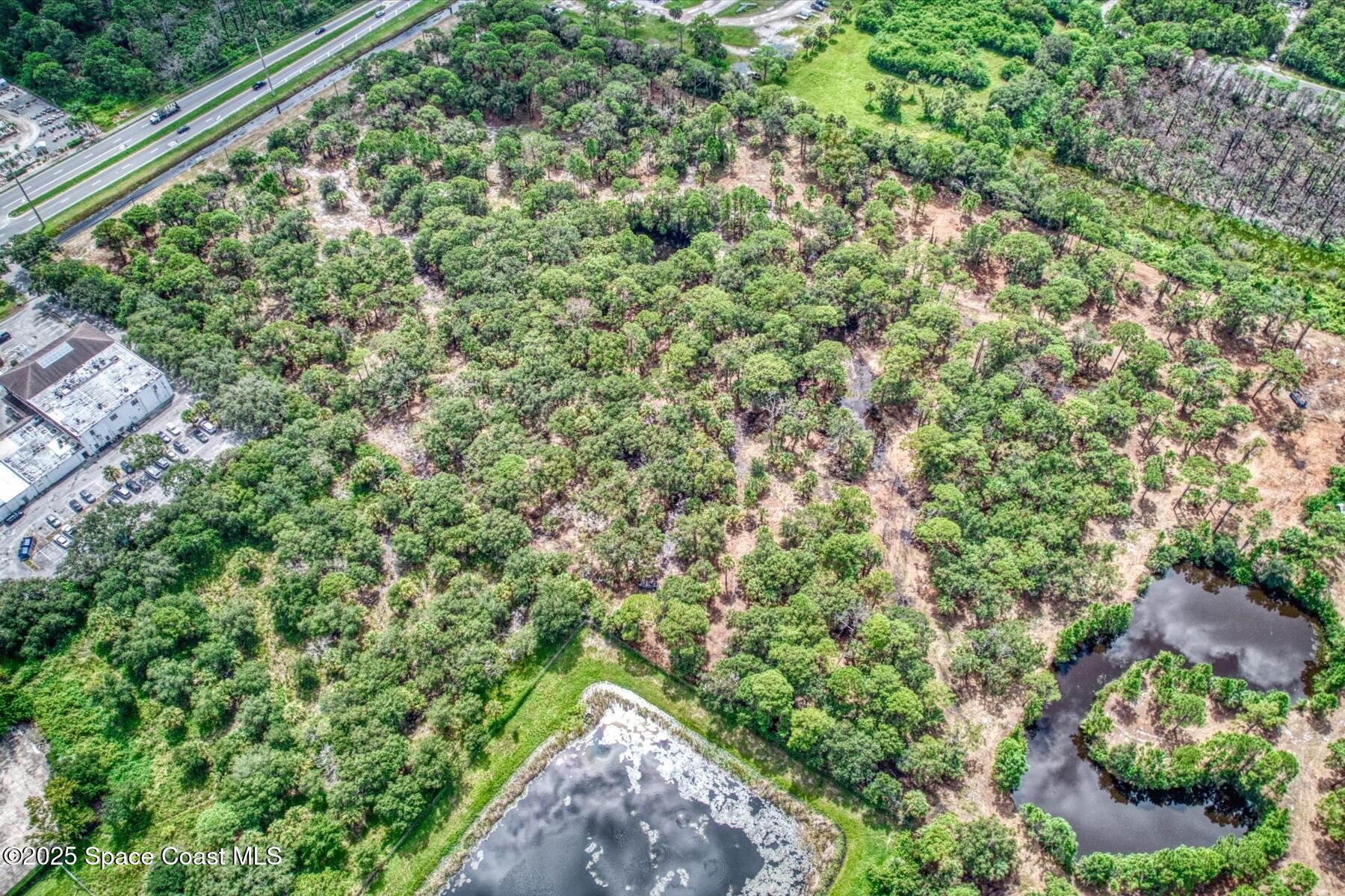 1206 Malabar Road Palm Bay, FL 32909 - Photo 11 of 15 a view of a forest with a bench