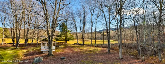 a view of yard with trees