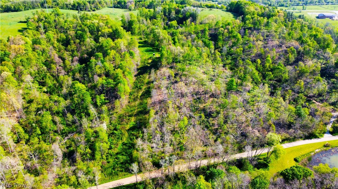 Patton Road Jewett, OH 43986 - Photo 24 of 42
