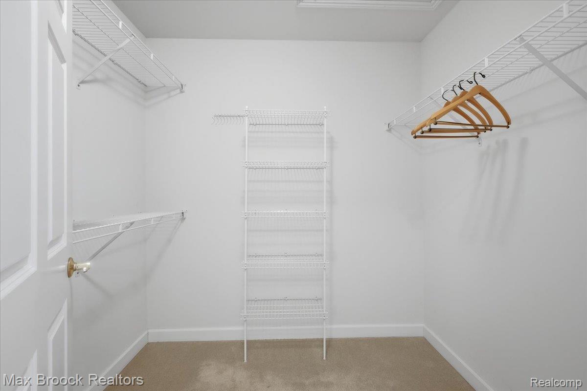 1731 Rico Road Commerce Township, MI 48382 - Photo 28 of 48 Walk-in closet with carpet flooring, white walls, and built-in wire shelving