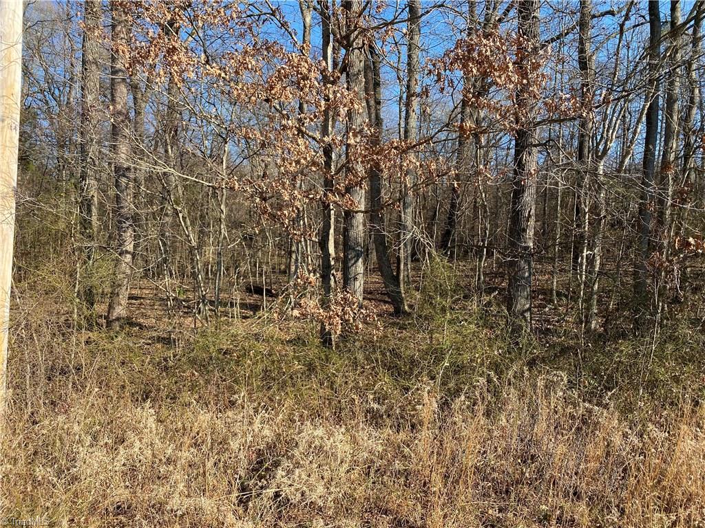 5867 Groometown Road High Point, NC 27263 - Photo 2 of 2 Gallery Image 2