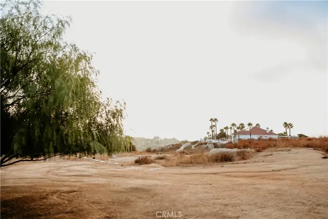 a view of a wooden house with a tree
