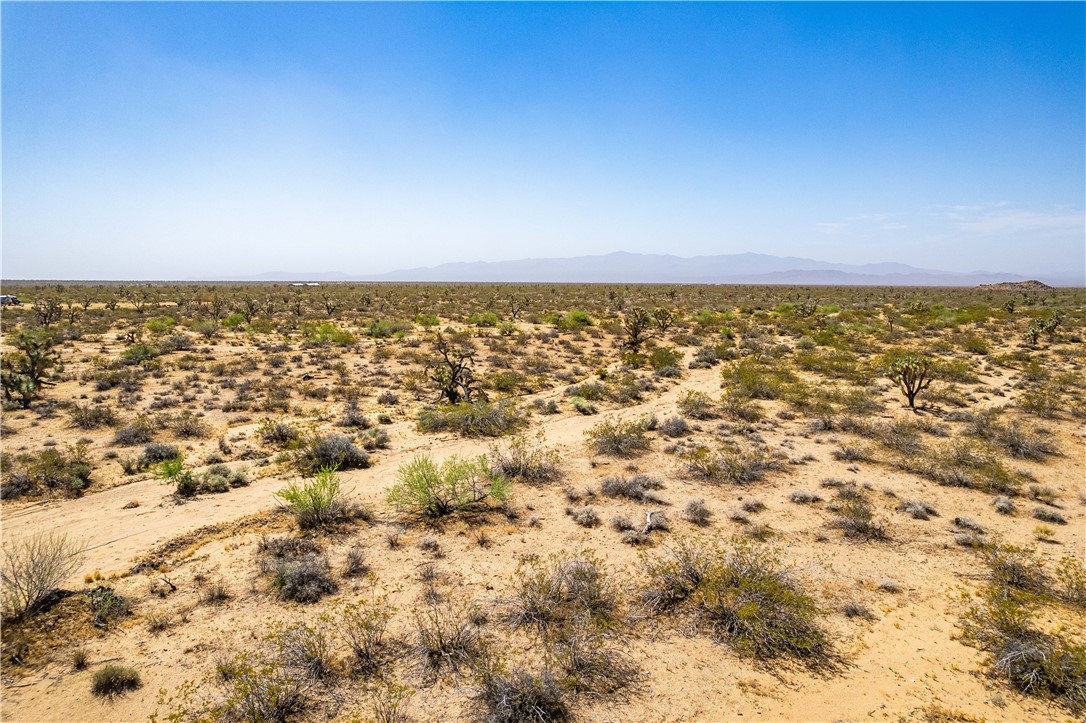 0 East Arroyo Road Yucca, AZ 86438 - Photo 22 of 25 Expansive desert landscape with scattered shrubs and trees under a clear sky