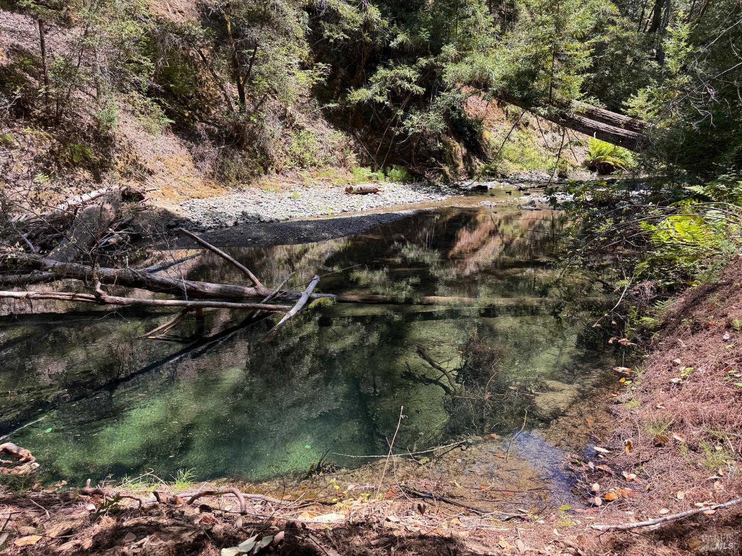 21530 Fort Ross Road Cazadero, CA 95421 - Photo 6 of 56 Swim hole along Ward Creek.