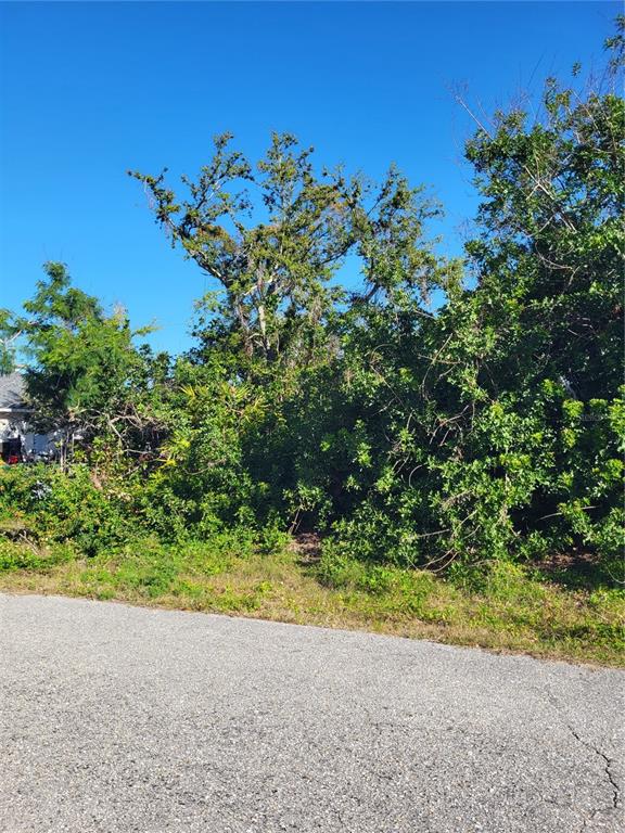 Azure Road Venice, FL 34293 - Photo 1 of 1 a view of a garden with a tree