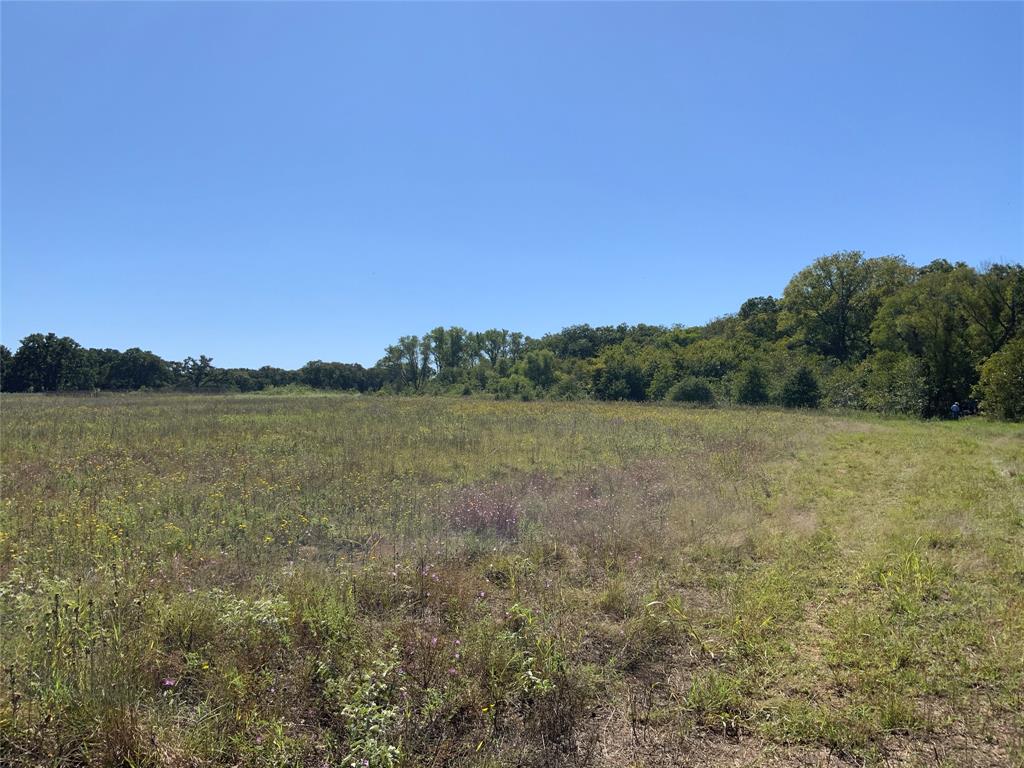 226 County Road 226 Rising Star, TX 76471 - Photo 16 of 25 a view of lake and mountain