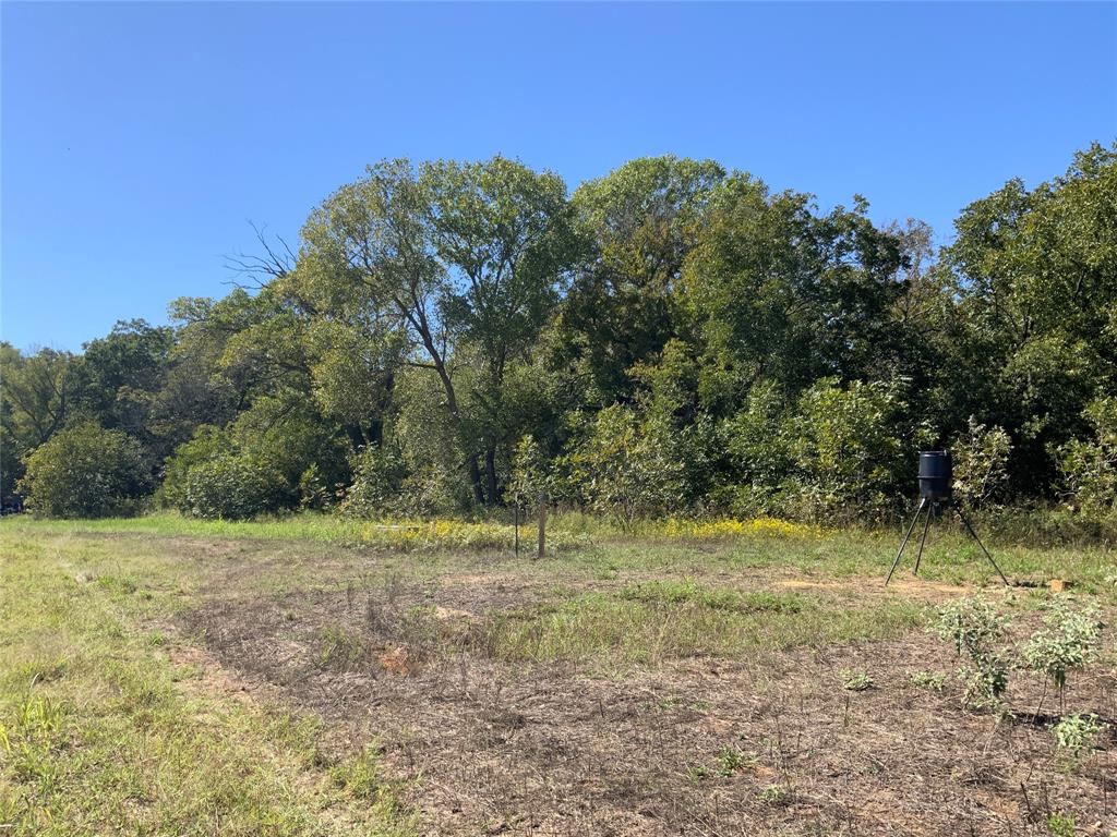 226 County Road 226 Rising Star, TX 76471 - Photo 17 of 25 a view of a field with trees in the background