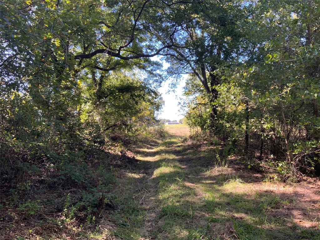 226 County Road 226 Rising Star, TX 76471 - Photo 21 of 25 a backyard of a house