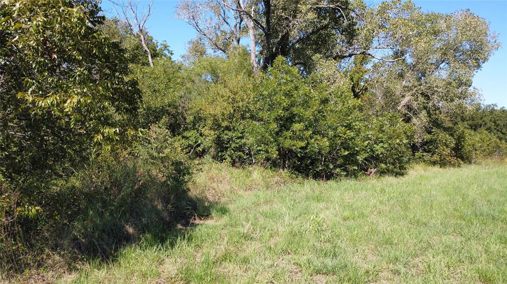 226 County Road 226 Rising Star, TX 76471 - Photo 3 of 25 a view of a garden