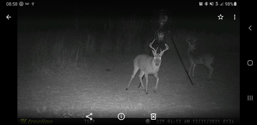 226 County Road 226 Rising Star, TX 76471 - Photo 10 of 25
