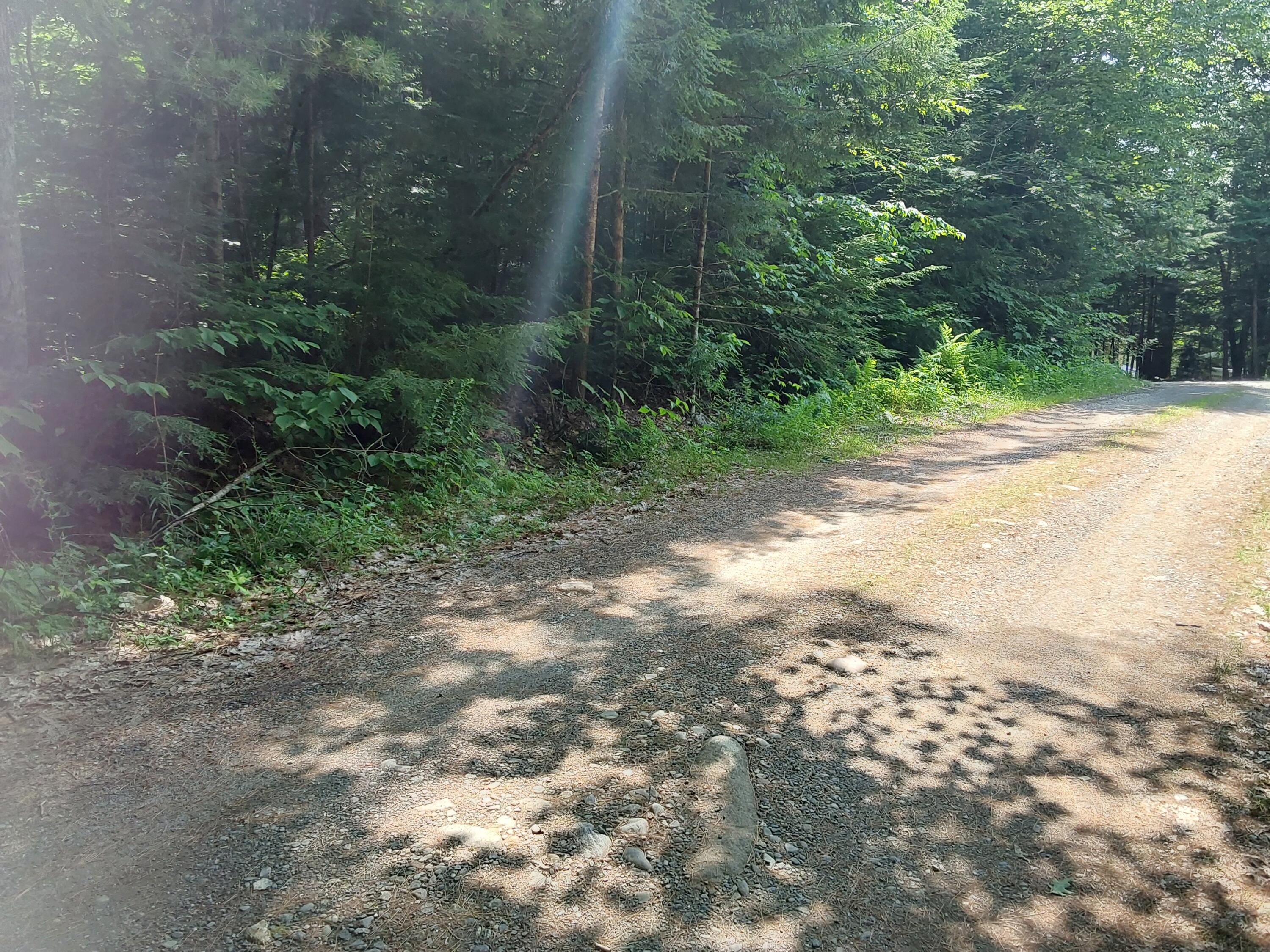 0 Libby Road Jefferson, ME 04348 - Photo 2 of 4 20230713_141750