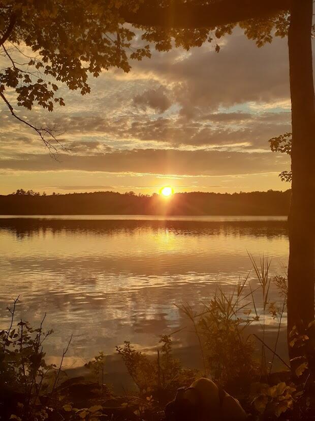 0 Libby Road Jefferson, ME 04348 - Photo 4 of 4 20220815_192406