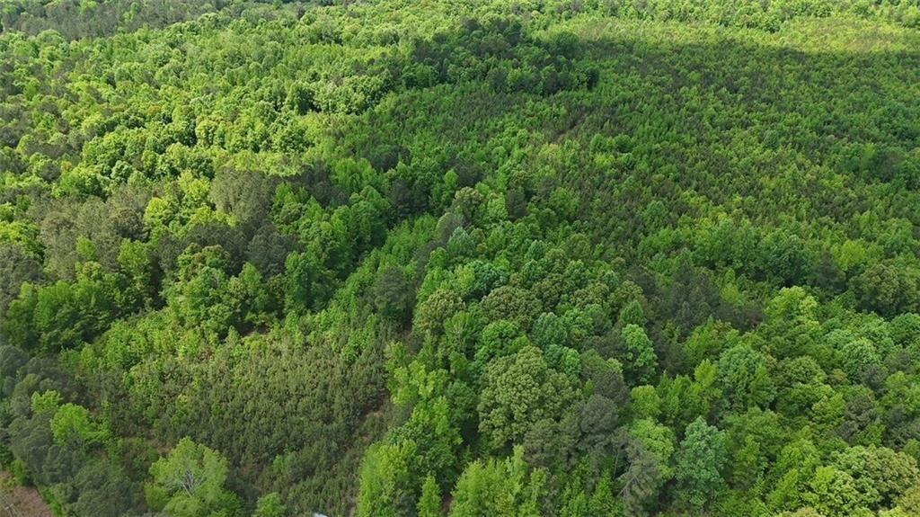 268 Ogletree Road Greenville, GA 30222 - Photo 9 of 9 a view of a lush green forest