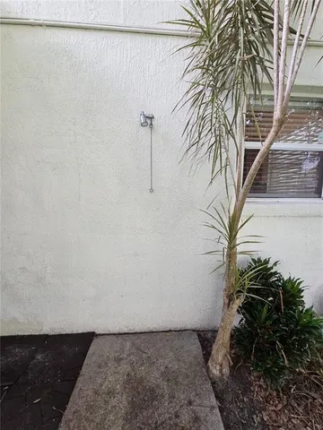 a close up of a plant in a room