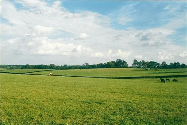 1094 Clay Kiser Road Paris, KY 40361 - Photo 1 of 44 Photo 1