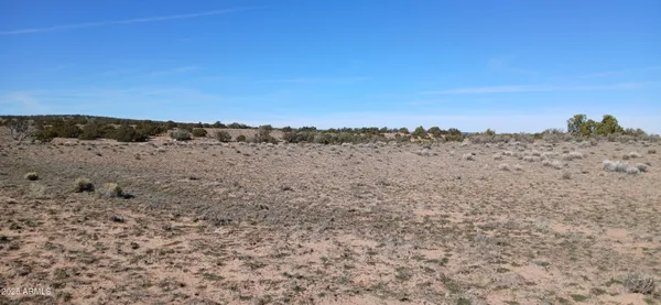 a view of a big yard with lots of bushes