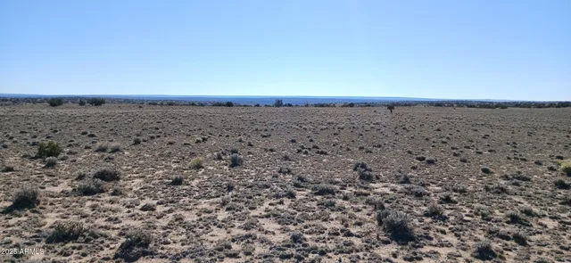 a view of a beach with a city view