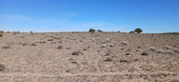 a view of a large garden with lots of bushes