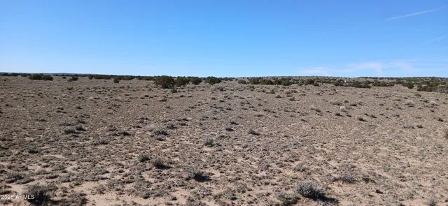 $2,900 | 1.06-acre 1.06-acre Blackfoot Trail, Unit 71, Chambers, AZ 86502