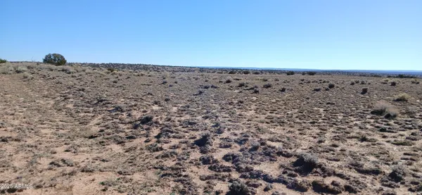 a view of an outdoor space and a yard