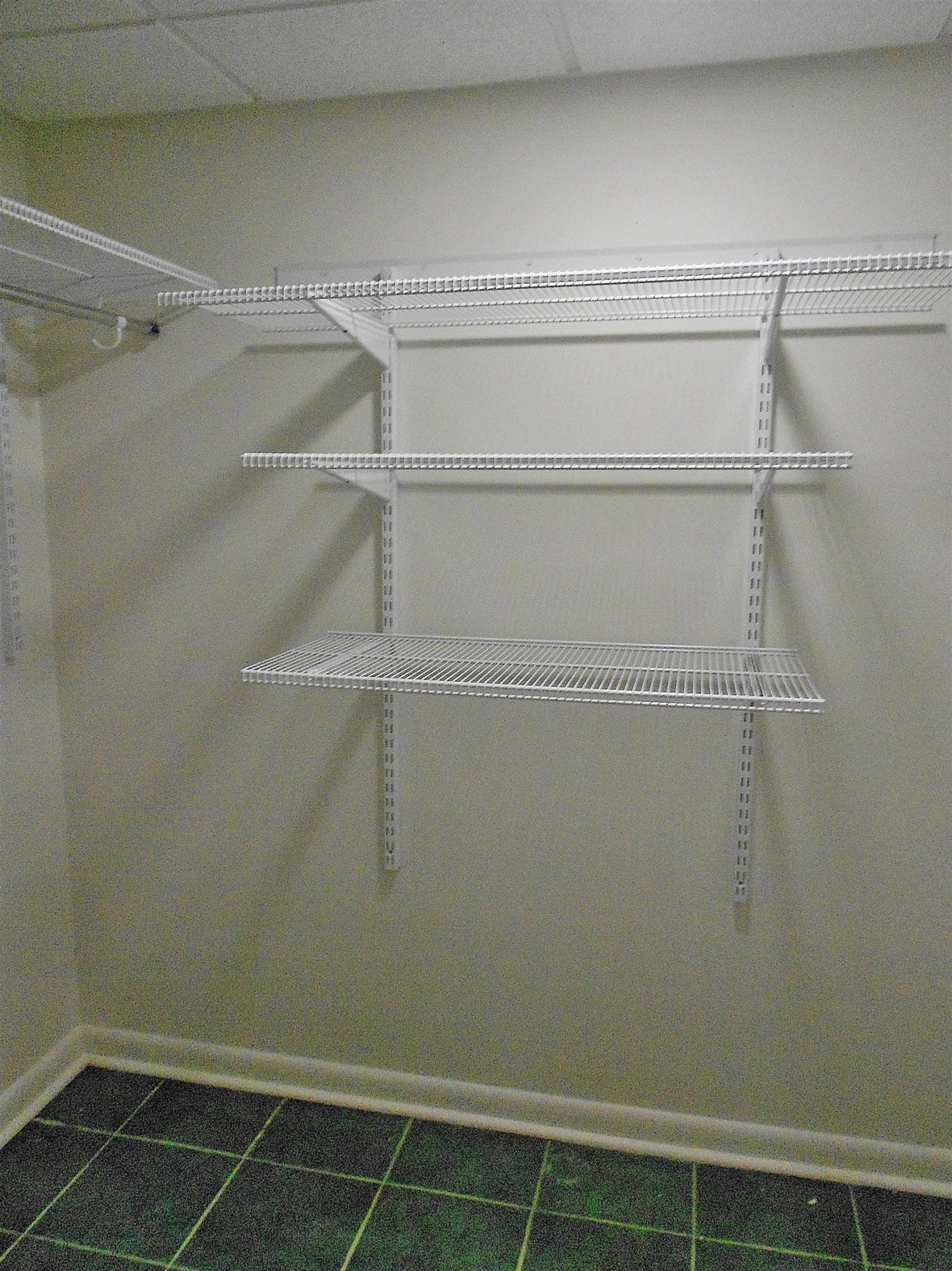 4815 Rembert Drive Raleigh, NC 27612 - Photo 22 of 26 ...this walk-in closet adjacent