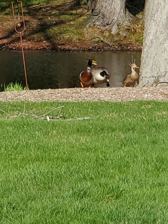 357 Tiffany Street Attleboro, MA 02703 - Photo 36 of 36