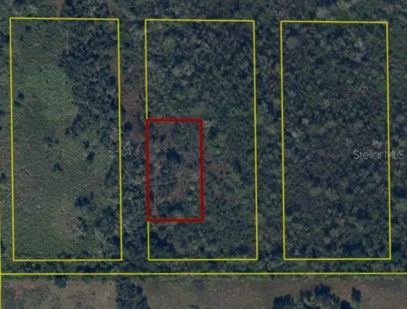 $13,500 | Southwest Pablo Avenue, Arcadia, FL 34266