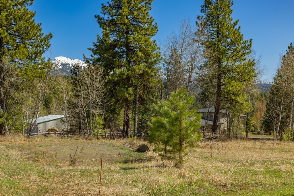 Tbd Morell Road McCall, ID 83638 - Photo 15 of 22