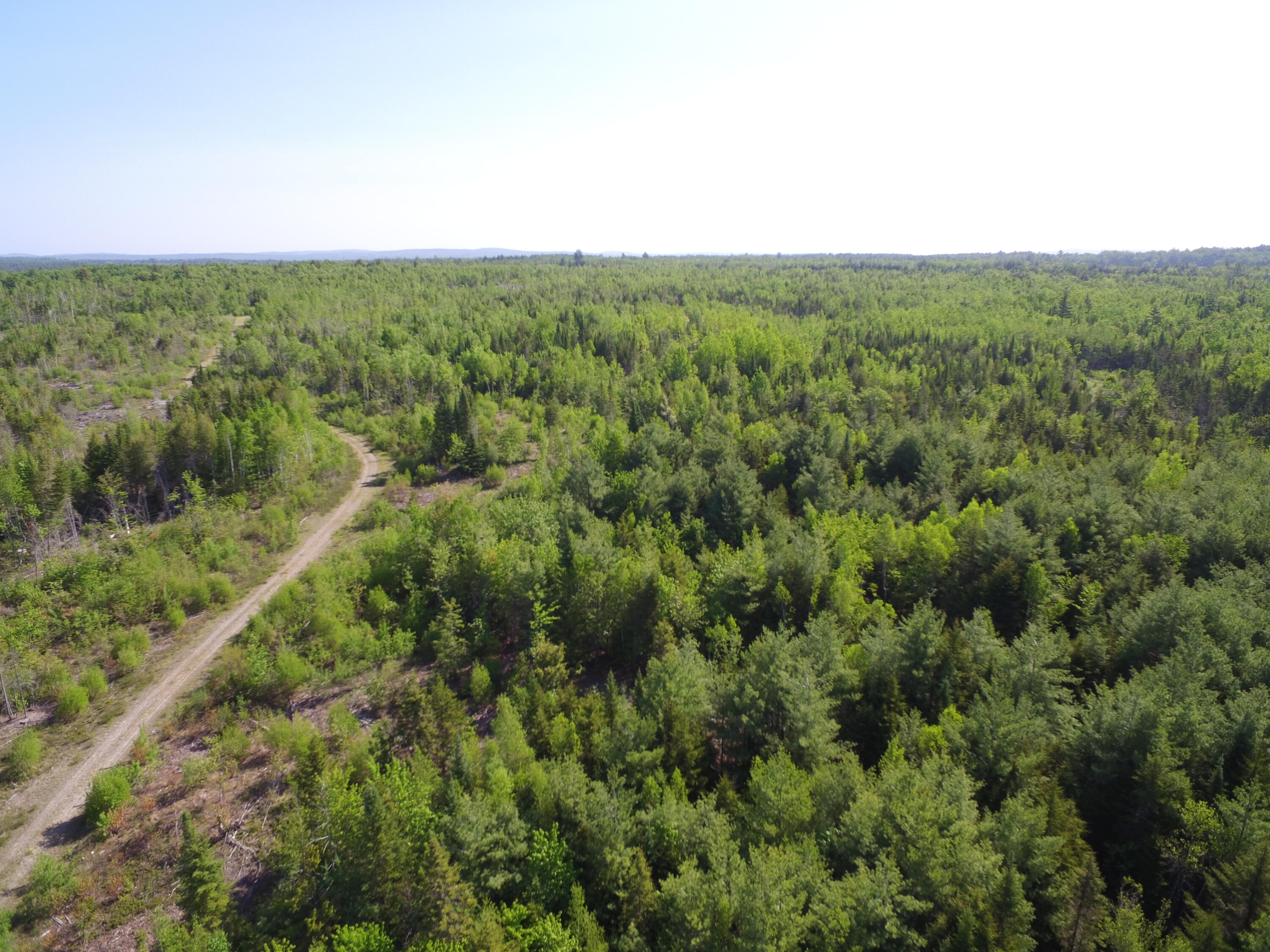 Off Goulds Ridge Road Passadumkeag, ME 04475 - Photo 15 of 22 DJI_0010