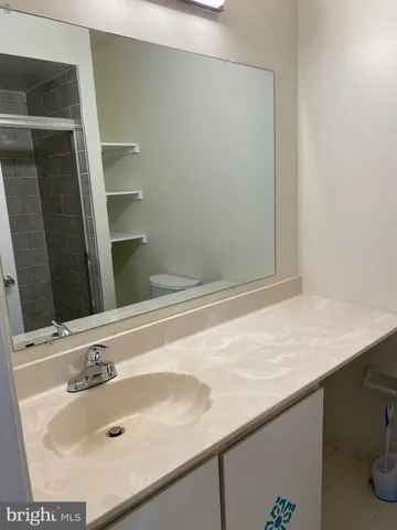 a bathroom with a sink and a shower