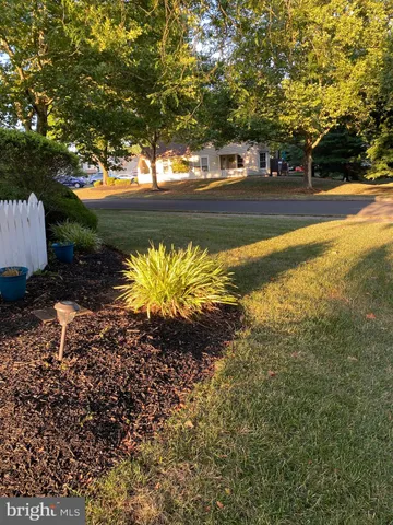 a view of a yard with an trees