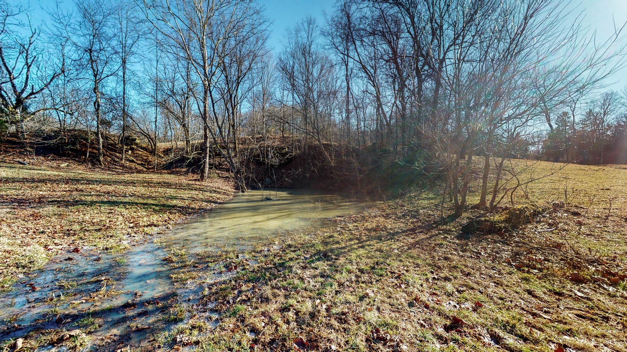 5208 Wiley Hollow Road Culleoka, TN 38451 - Photo 11 of 20 Gallery Image 11
