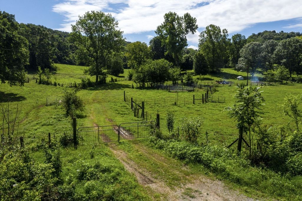 5208 Wiley Hollow Road Culleoka, TN 38451 - Photo 6 of 20 Gallery Image 6