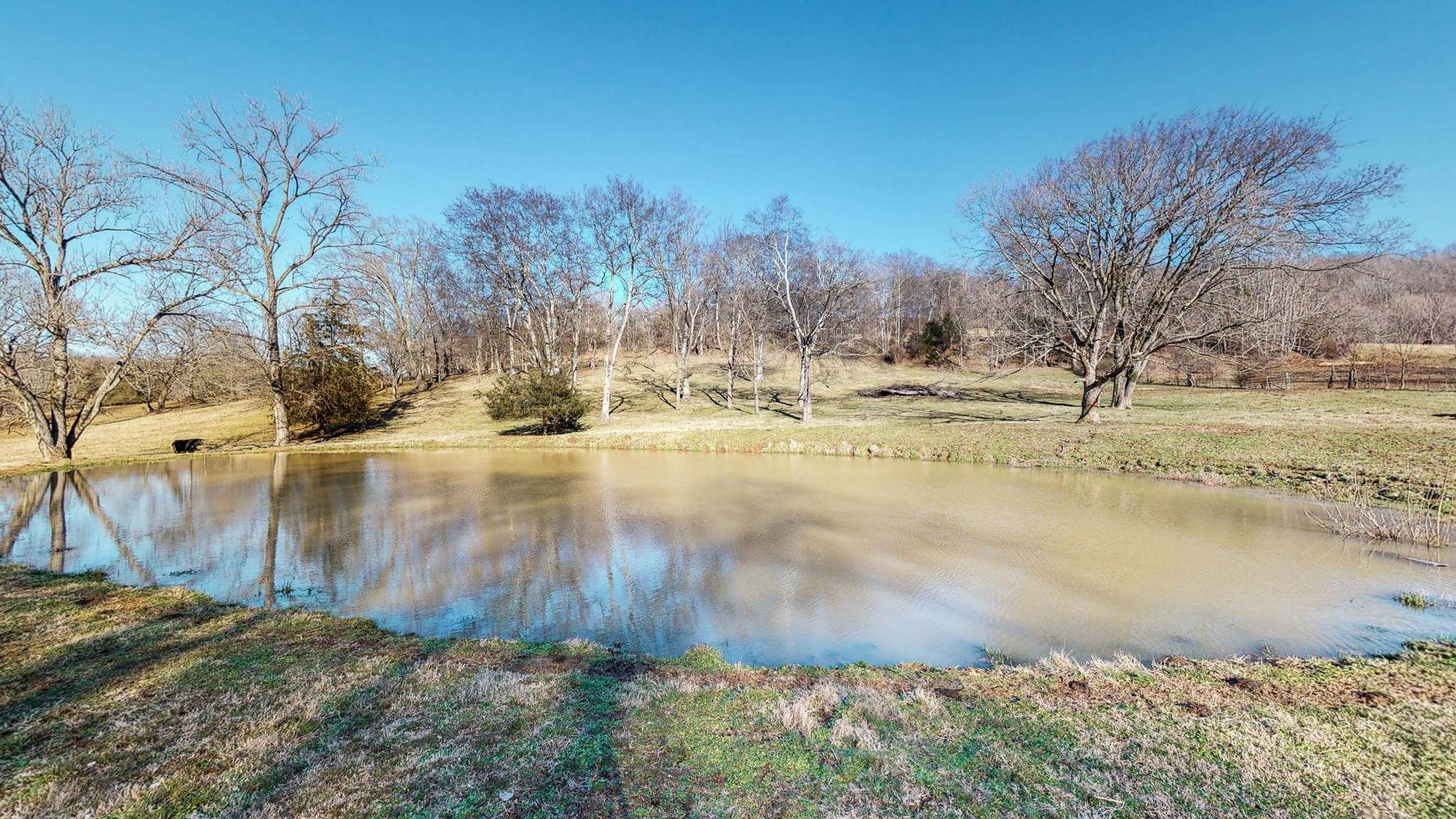 5208 Wiley Hollow Road Culleoka, TN 38451 - Photo 8 of 20 Gallery Image 8