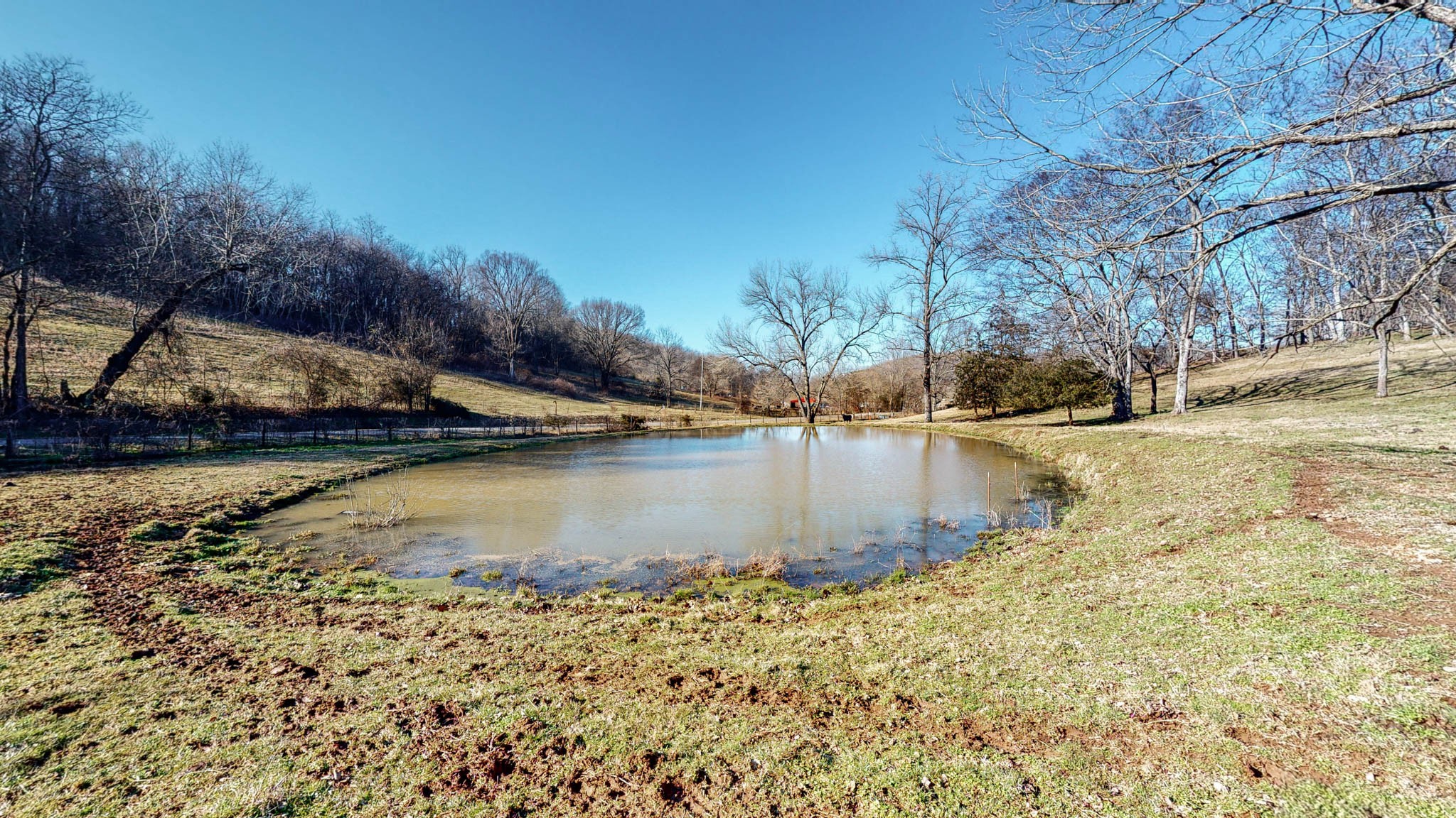 5208 Wiley Hollow Road Culleoka, TN 38451 - Photo 9 of 20 Gallery Image 9